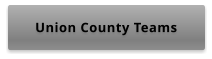 Union County Teams